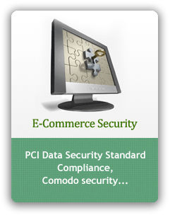E-Commerce Security